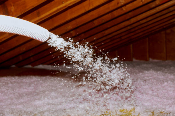 Best Residential Insulation in Encinitas, CA